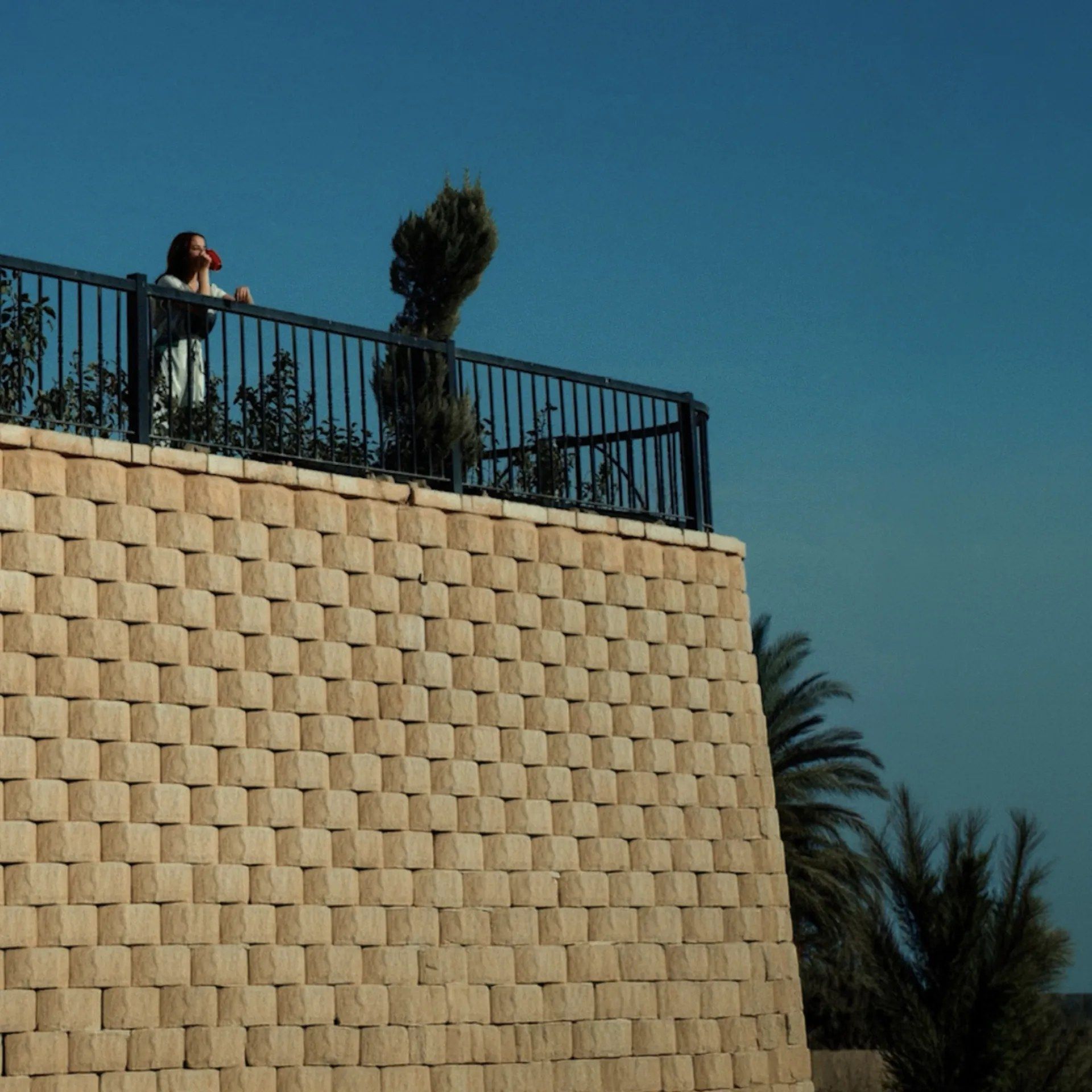 رويال ريزيدنس: تصور معماري 5